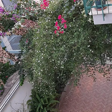 Eden House アパート バーリ