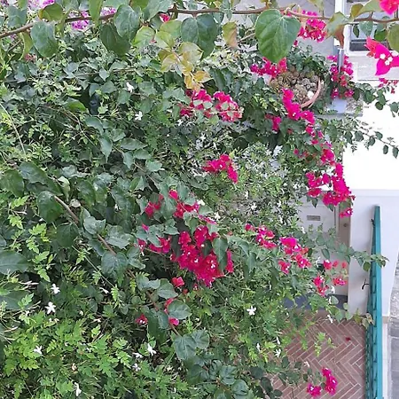 Eden House * Bari