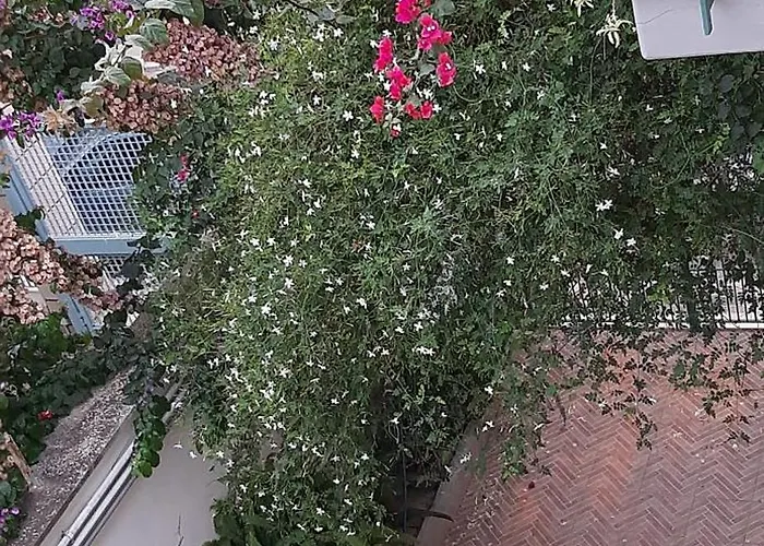 Eden House شقة باري